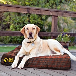 Orthopeadic Dog Bed Slab + Memory Foam Topped - Various Colours & Sizes